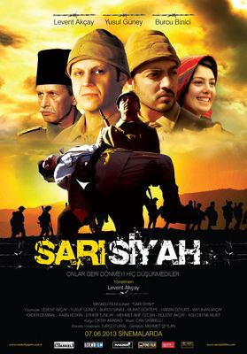 Sari siyah poster