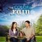 Poster 1 The Color of Rain