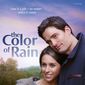 Poster 2 The Color of Rain