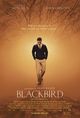 Film - Blackbird