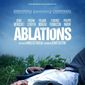Poster 1 Ablations