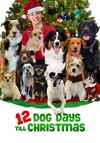 12 Dog Days Till Christmas