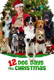 Poster 12 Dog Days Till Christmas