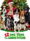 Film 12 Dog Days Till Christmas