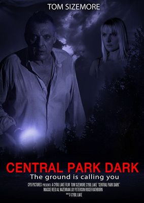 Central Park Dark poster