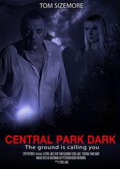 Poster Central Park Dark