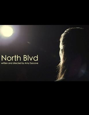 North Blvd poster