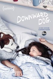 Poster Downward Dog