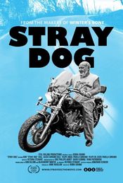 Poster Stray Dog