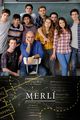 Film - MerlÃ­