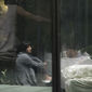Foto 21 The OA