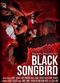 Film Black Songbird