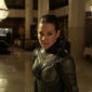 Foto 20 Evangeline Lilly în Ant-Man and the Wasp