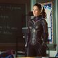 Foto 18 Evangeline Lilly în Ant-Man and the Wasp