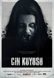 Poster Cin Kuyusu