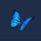blue_butterfly