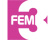FEM3